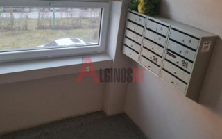 Parduodamas butas Baltijos pr., Baltijos, Klaipėdos m., Klaipėdos m. sav., 26 m² ploto 1 kambarys 11