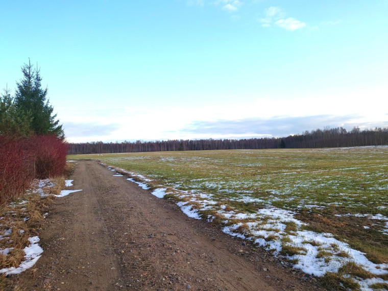 Parduodamas sklypas Vaivorykštės g., Gegužių k., Šiaulių r. sav., 9.98 a ploto 16