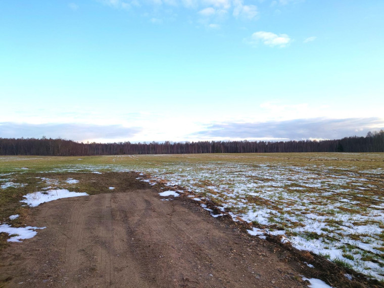 Parduodamas sklypas Vaivorykštės g., Gegužių k., Šiaulių r. sav., 9.98 a ploto 21