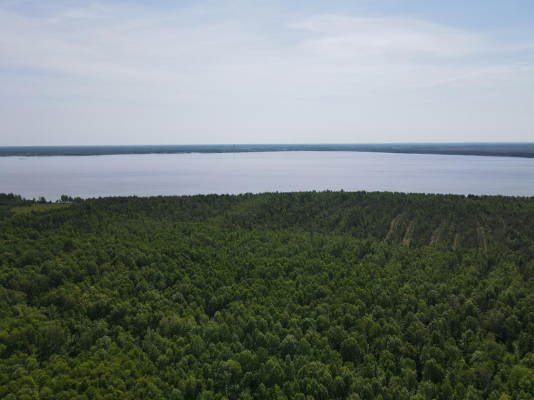 Parduodamas sklypas Vaivorykštės g., Gegužių k., Šiaulių r. sav., 9.98 a ploto 29