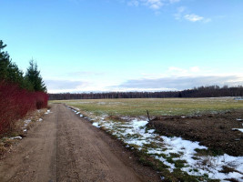 Parduodamas sklypas Vaivorykštės g., Gegužių k., Šiaulių r. sav., 9.98 a ploto 14