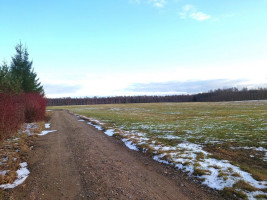 Parduodamas sklypas Vaivorykštės g., Gegužių k., Šiaulių r. sav., 9.98 a ploto 16