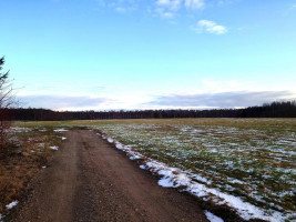 Parduodamas sklypas Vaivorykštės g., Gegužių k., Šiaulių r. sav., 9.98 a ploto 18