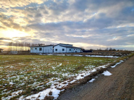 Parduodamas sklypas Vaivorykštės g., Gegužių k., Šiaulių r. sav., 9.98 a ploto 19