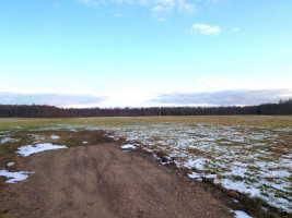 Parduodamas sklypas Vaivorykštės g., Gegužių k., Šiaulių r. sav., 9.98 a ploto 21