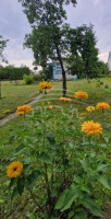 Parduodamas  sklypas Šiūparių k., Klaipėdos r. sav., 6 a ploto 4