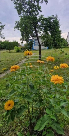 Parduodamas sklypas Šiūparių k., Klaipėdos r. sav., 6 a ploto 4