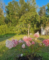 Parduodamas  sklypas Šiūparių k., Klaipėdos r. sav., 6 a ploto 5