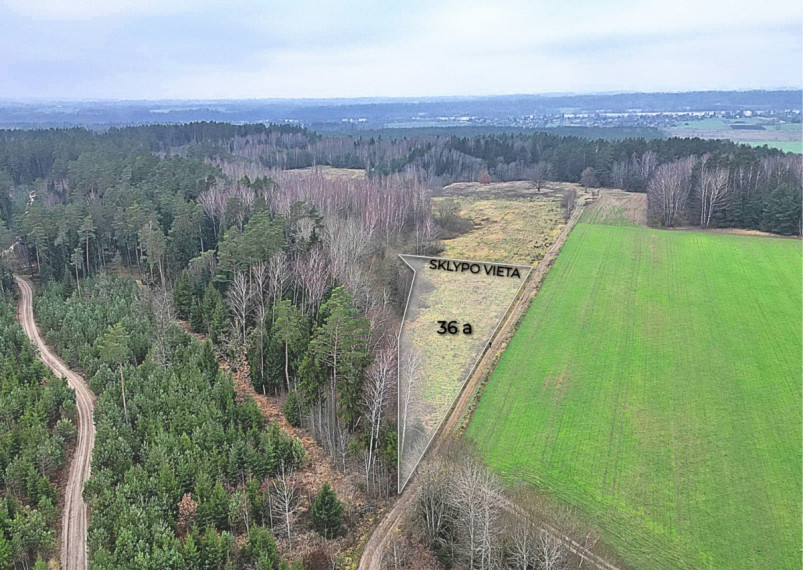 Parduodamas sklypas Darsūniškio k., Kaišiadorių r. sav., 36 a ploto 2
