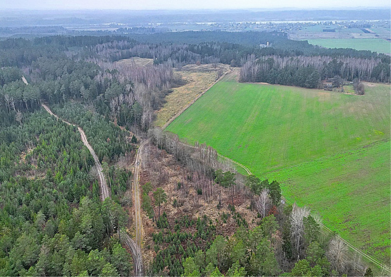 Parduodamas sklypas Darsūniškio k., Kaišiadorių r. sav., 36 a ploto 4