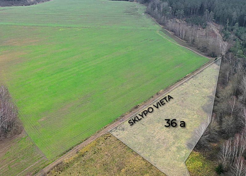 Parduodamas sklypas Darsūniškio k., Kaišiadorių r. sav., 36 a ploto 5