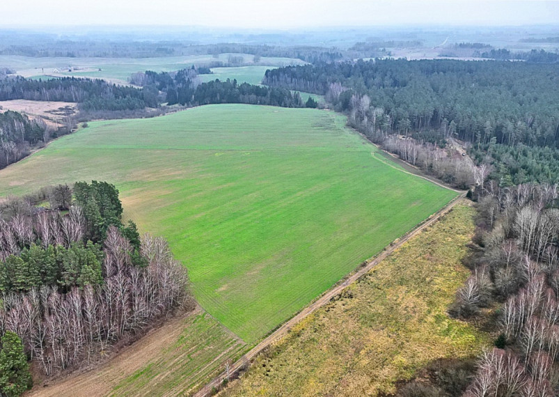 Parduodamas sklypas Darsūniškio k., Kaišiadorių r. sav., 36 a ploto 6