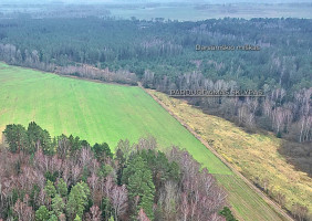Parduodamas  sklypas Darsūniškio k., Kaišiadorių r. sav., 36 a ploto 10