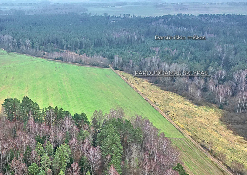 Parduodamas  sklypas Darsūniškio k., Kaišiadorių r. sav., 36 a ploto 10