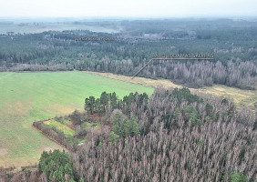 Parduodamas  sklypas Darsūniškio k., Kaišiadorių r. sav., 36 a ploto 11