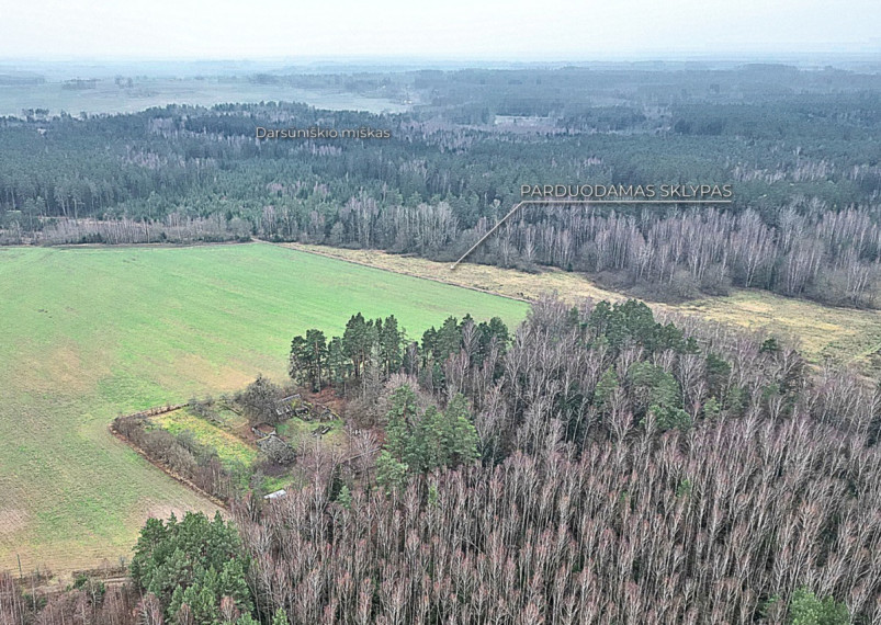 Parduodamas  sklypas Darsūniškio k., Kaišiadorių r. sav., 36 a ploto 11