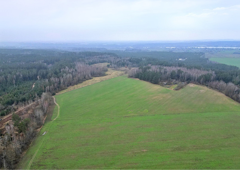 Parduodamas  sklypas Darsūniškio k., Kaišiadorių r. sav., 36 a ploto 13