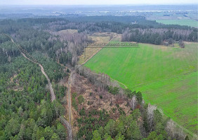 Parduodamas  sklypas Darsūniškio k., Kaišiadorių r. sav., 36 a ploto 14