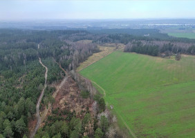 Parduodamas  sklypas Darsūniškio k., Kaišiadorių r. sav., 36 a ploto 15