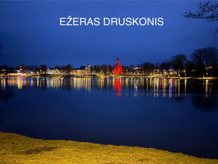 Parduodamas butas V. Kudirkos g., Druskininkų m., Druskininkų sav., 40 m2 ploto, 1 kambariai 25