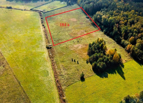 Parduodamas sklypas Dirvalių k., Jonavos r. sav., 184 a ploto