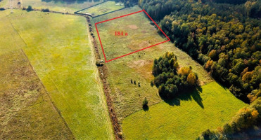 Parduodamas sklypas Dirvalių k., Jonavos r. sav., 184 a ploto 1