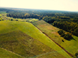 Parduodamas sklypas Dirvalių k., Jonavos r. sav., 184 a ploto 2