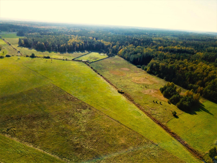 Parduodamas sklypas Dirvalių k., Jonavos r. sav., 184 a ploto 2