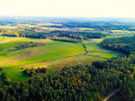 Parduodamas sklypas Dirvalių k., Jonavos r. sav., 184 a ploto 9