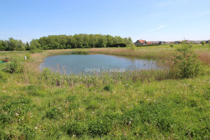 Parduodamas namas Dirvuolių g., Grabių k., Klaipėdos r. sav., 80 m2 ploto, 2 aukštai 16