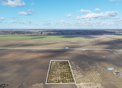 Parduodamas  sklypas Debesų g., Užliedžių k., Kauno r. sav., 49.78 a ploto