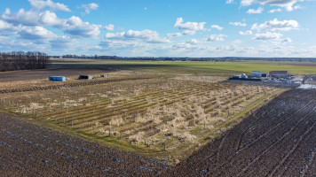 Parduodamas  sklypas Debesų g., Užliedžių k., Kauno r. sav., 49.78 a ploto 8
