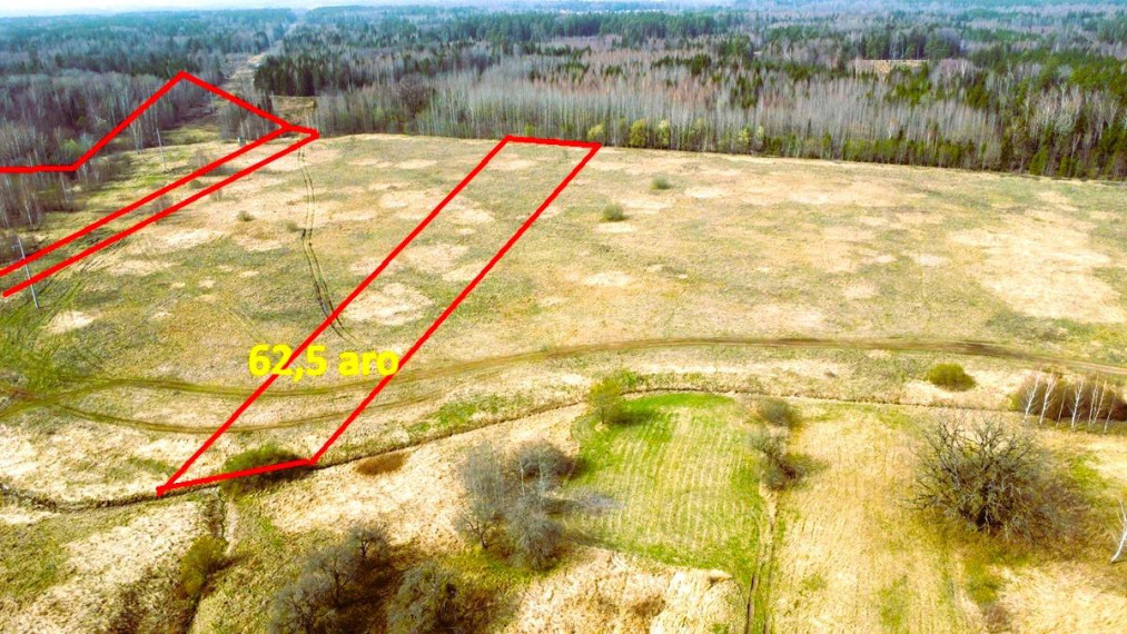 Parduodamas sklypas Lauko g., Grabučiškių k., Kaišiadorių r. sav., 62.5 a ploto 1