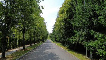 Parduodamas namas ir 35 arų sklypas Kernavėje, Pajautos g. 29