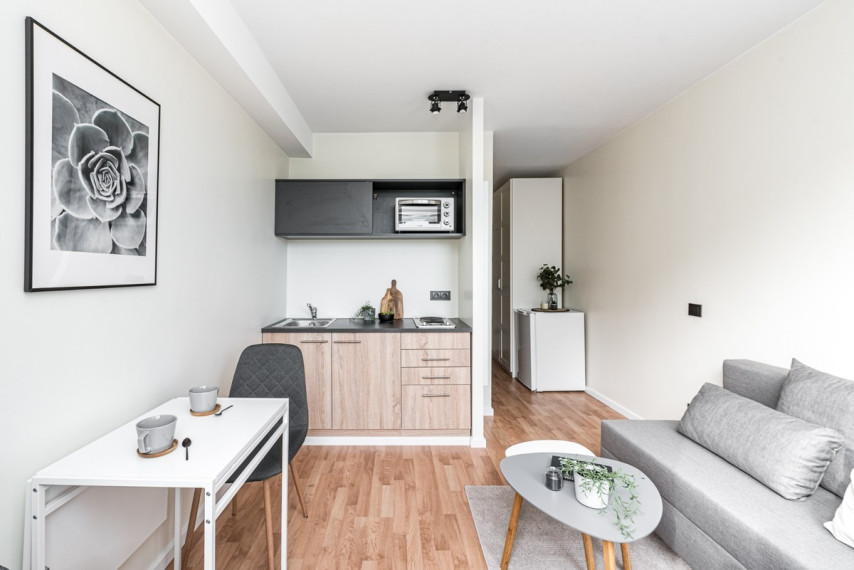Nuomojamas butas Birutės g., Žvėrynas, Vilniaus m., Vilniaus m. sav., 15 m2 ploto, 1 kambariai 1