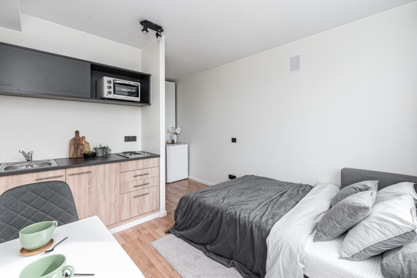 Nuomojamas butas Birutės g., Žvėrynas, Vilniaus m., Vilniaus m. sav., 15 m2 ploto, 1 kambariai 8