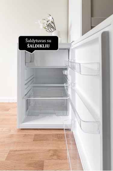 Nuomojamas butas Birutės g., Žvėrynas, Vilniaus m., Vilniaus m. sav., 15 m2 ploto, 1 kambariai 13