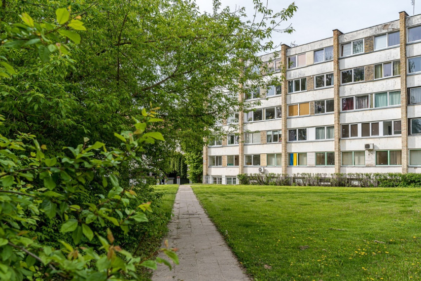 Nuomojamas butas Birutės g., Žvėrynas, Vilniaus m., Vilniaus m. sav., 15 m2 ploto, 1 kambariai 20
