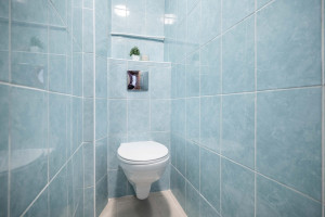 Nuomojamas butas Loretos Asanavičiūtės g., Karoliniškės, Vilniaus m., Vilniaus m. sav., 47 m2 ploto, 2 kambariai 18