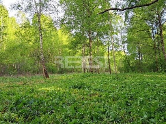 Parduodamas namų valdos paskirties sklypas Etten-Leuro g., Pabaliai, Šiaulių m., Šiaulių m. sav., 23.76 a ploto 2