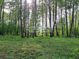 Parduodamas namų valdos paskirties sklypas Etten-Leuro g., Pabaliai, Šiaulių m., Šiaulių m. sav., 23.76 a ploto 3