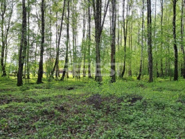 Parduodamas namų valdos paskirties sklypas Etten-Leuro g., Pabaliai, Šiaulių m., Šiaulių m. sav., 23.76 a ploto 10