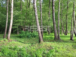 Parduodamas namų valdos paskirties sklypas Etten-Leuro g., Pabaliai, Šiaulių m., Šiaulių m. sav., 23.76 a ploto 11
