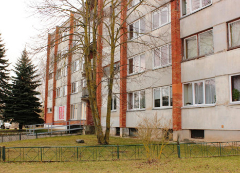 Parduodamas butas Ramioji g., Liūdynės k., Panevėžio r. sav., 30.00 m² ploto 1 kambarys