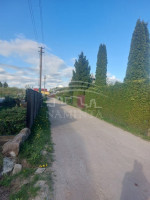 Parduodamas  sklypas Derceklių k., Klaipėdos r. sav., 6 a ploto 9