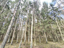 Parduodamas namas Juodiškių g., Juodiškių k., Molėtų r. sav., 68.00 m² ploto 3 kambariai 21