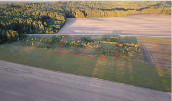 Parduodamas  sklypas Pasienio g., Vindžiūnų k., Vilniaus r. sav., 14 a ploto 8