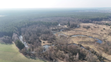 Parduodamas  sklypas Čižiūnų k., Varėnos r. sav., 633 a ploto 3