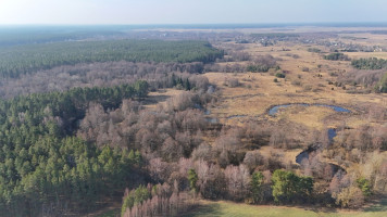 Parduodamas  sklypas Čižiūnų k., Varėnos r. sav., 633 a ploto 5