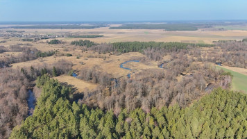 Parduodamas  sklypas Čižiūnų k., Varėnos r. sav., 633 a ploto 10